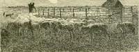 Picture 194 of 243 from Gazette des beaux-arts (1859), leaf 550