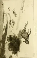 An illustration from Gazette des beaux-arts (1859)