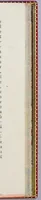 An illustration from Paesi nouamente retrouati. et Nouo Mondo da Alberico Vesputio Florentino intitulato (1507)