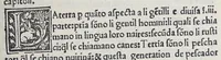 Picture 9 of 10 from Paesi nouamente retrouati. et Nouo Mondo da Alberico Vesputio Florentino intitulato (1507), leaf 241