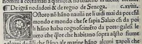 An illustration from Paesi nouamente retrouati. et Nouo Mondo da Alberico Vesputio Florentino intitulato (1507)