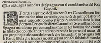 Picture 8 of 12 from Paesi nouamente retrouati. & Nouo Mo[n]do da Alberico Vesputio Florentino intitulato (1508), leaf 128