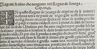 Picture 3 of 12 from Paesi nouamente retrouati. & Nouo Mo[n]do da Alberico Vesputio Florentino intitulato (1508), leaf 45