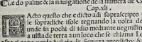 An illustration from Paesi nouamente retrouati. & Nouo Mo[n]do da Alberico Vesputio Florentino intitulato (1508)