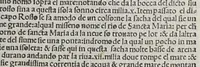 An illustration from Paesi nouamente retrouati. & Nouo Mo[n]do da Alberico Vesputio Florentino intitulato (1508)