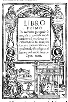 An illustration from Libro primo [- quarto] de rechami p elquale se impara in diuersi modi l'ordine e il modo de recamare: cosa nō mai piu fatta ne stata mostrata: el qual modo se insegna al lettore voltando la carta (1878)