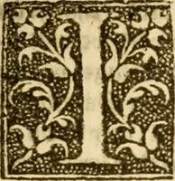 An illustration from The Pageant of popes, contayninge the lyues of all the bishops of Rome, from the beginninge of them to the yeare of grace 1555, deuided into iii. sortes bishops, archbishops, and popes ... (1574)