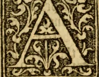 An illustration from The Pageant of popes, contayninge the lyues of all the bishops of Rome, from the beginninge of them to the yeare of grace 1555, deuided into iii. sortes bishops, archbishops, and popes ... (1574)