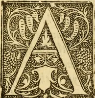 An illustration from The Pageant of popes, contayninge the lyues of all the bishops of Rome, from the beginninge of them to the yeare of grace 1555, deuided into iii. sortes bishops, archbishops, and popes ... (1574)