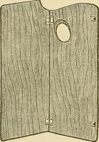 An illustration from Painted tapestry and its application to interior decoration : practical lessons in tapestry painting with liquid colour (1879)