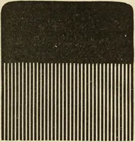 An illustration from The painters' encyclopædia. Containing definitions of all important words in the art of plain and artistic painting, with details of practice in coach, carriage, railway car, house, sign and ornamental painting, including graining, marbling ... and valuable hints and helps in scene painting, porcelain painting, plain painting, distemper painting, and all work in which a brush, pencil or palette is used (1887)