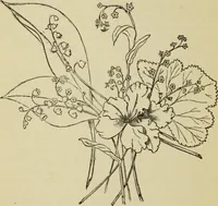 An illustration from The painters' encyclopædia. Containing definitions of all important words in the art of plain and artistic painting, with details of practice in coach, carriage, railway car, house, sign and ornamental painting, including graining, marbling ... and valuable hints and helps in scene painting, porcelain painting, plain painting, distemper painting, and all work in which a brush, pencil or palette is used (1887)