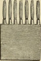 An illustration from The painters' encyclopædia. Containing definitions of all important words in the art of plain and artistic painting, with details of practice in coach, carriage, railway car, house, sign and ornamental painting, including graining, marbling ... and valuable hints and helps in scene painting, porcelain painting, plain painting, distemper painting, and all work in which a brush, pencil or palette is used (1887)