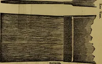 Picture 41 of 92 from The Painters' & grainers' handbook : a complete illustrated guide to painting, graining, distempering, sign-writing, gilding, and glass embossing ... (1873), leaf 167