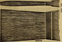 Picture 42 of 92 from The Painters' & grainers' handbook : a complete illustrated guide to painting, graining, distempering, sign-writing, gilding, and glass embossing ... (1873), leaf 168