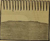 Picture 51 of 92 from The Painters' & grainers' handbook : a complete illustrated guide to painting, graining, distempering, sign-writing, gilding, and glass embossing ... (1873), leaf 173