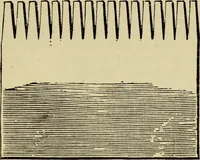 Picture 10 of 92 from The Painters' & grainers' handbook : a complete illustrated guide to painting, graining, distempering, sign-writing, gilding, and glass embossing ... (1873), leaf 64