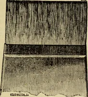 An illustration from The Painters' & grainers' handbook : a complete illustrated guide to painting, graining, distempering, sign-writing, gilding, and glass embossing ... (1873)