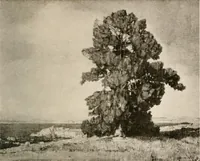 An illustration from Painters, pictures and the people (1918)