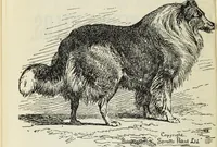 An illustration from Painters and their works: a dictionary of great artists who are not now alive, giving their names, lives, and the prices paid for their works at auctions (1896)