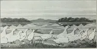 An illustration from Painting and interior decoration (1922)
