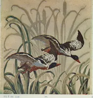 An illustration from Painting and interior decoration (1922)