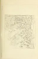 Picture 9 of 29 from A history of painting in north Italy : Venice, Padua, Vicenza, Verona, Ferrara, Milan, Friuli, Brescia, from the fourteenth to the sixteenth century : drawn up from fresh materials after recent researches in the archives of Italy, and from personal inspection of the works of art scattered throughout Europe (1871), leaf 226