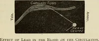 Picture 11 of 46 from Painting and painters' materials: a book of facts for painters and those who use or deal in paint materials (1883), leaf 212