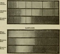 Picture 16 of 46 from Painting and painters' materials: a book of facts for painters and those who use or deal in paint materials (1883), leaf 377
