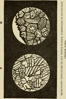 Picture 31 of 46 from Painting and painters' materials: a book of facts for painters and those who use or deal in paint materials (1883), leaf 482