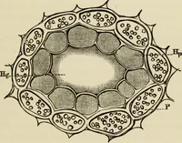 Picture 3 of 46 from Painting and painters' materials: a book of facts for painters and those who use or deal in paint materials (1883), leaf 50