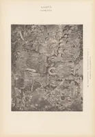 An illustration from The paintings in the Buddhist cave-temples of Ajantâ, Khandesh, India (1896)