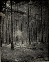 Picture 41 of 50 from Paintings by American artists : colonial portraits (1914), leaf 91