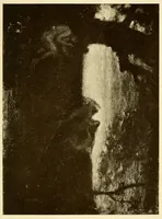 An illustration from Paintings by American artists (1900)