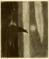 Picture 3 of 7 from Paintings by American artists (1900), leaf 9
