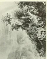 An illustration from Paintings by Frederic E. Church, N.A. Special exhibition at the Metropolitan museum of art, May 28th to Oct. 15th (1900)