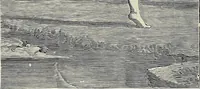 An illustration from Painting, sculpture and architecture as representative arts; an essay in comparative æsthetics (1895)