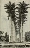 An illustration from Painting, sculpture and architecture as representative arts; an essay in comparative æsthetics (1895)
