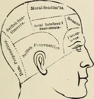An illustration from Painting, sculpture and architecture as representative arts; an essay in comparative æsthetics (1895)