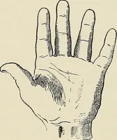 An illustration from Painting, sculpture and architecture as representative arts; an essay in comparative æsthetics (1895)
