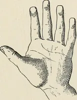 An illustration from Painting, sculpture and architecture as representative arts; an essay in comparative æsthetics (1895)