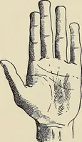 An illustration from Painting, sculpture and architecture as representative arts; an essay in comparative æsthetics (1895)