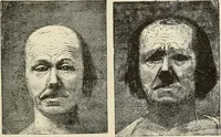 An illustration from Painting, sculpture and architecture as representative arts; an essay in comparative æsthetics (1895)