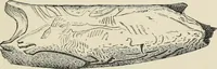 An illustration from Painting, sculpture and architecture as representative arts; an essay in comparative æsthetics (1895)