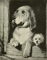 An illustration from Painting, sculpture and architecture as representative arts; an essay in comparative æsthetics (1895)