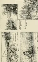 An illustration from Painting, sculpture and architecture as representative arts; an essay in comparative æsthetics (1895)
