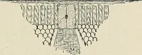 An illustration from Painting, sculpture and architecture as representative arts; an essay in comparative æsthetics (1895)