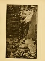 Picture 7 of 17 from Paintings & illustrations (1900), leaf 25