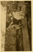 An illustration from Paintings & illustrations (1900)