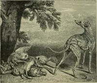 An illustration from Painting, Spanish and French (1890)